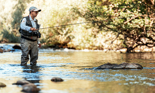 Pesca con mosca